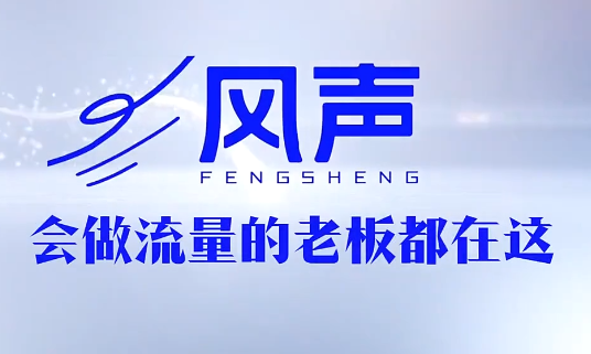 董十一·风声短视频AI获客年度会员-AI学习库
